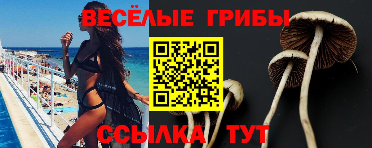 Псилоцибиновые грибы Psilocybine cubensis  Вход с VPN  Псилоцибиновые грибы MAGIC MUSHROOMS  Тосно 